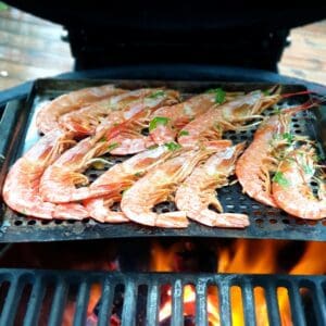 Rödräkor Gigantiska perfekta för att grilla hela över het glöd marinera gärna i het lime marinad